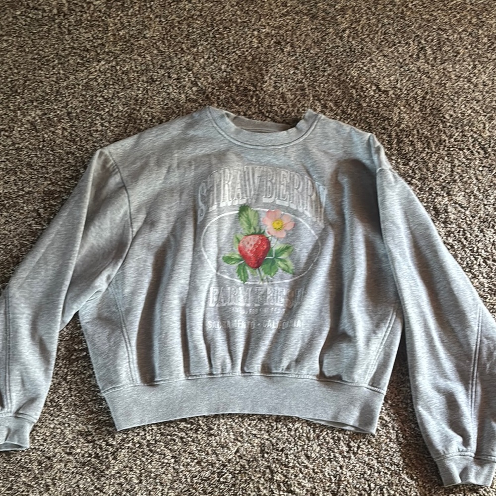 No Boundaries Gray Crop Boxy Sweatshirt
